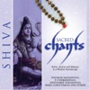 Nithyasree Mahadevan - Shivashtakam