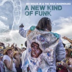 Bo Dollis, Jr. & The Wild Magnolias - New Kind of Funk