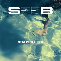 Simple Life - Single - Seeb