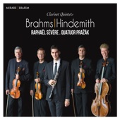 Clarinet Quintet in B Minor, Op. 115: III. Andantino artwork