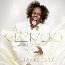 Misunderstood - Single - Krizz Kaliko Misunderstood - Single - Krizz Kaliko