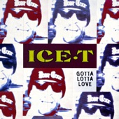 Ice-T - Gotta Lotta Love (Tubular Bells Edit)