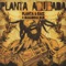 Pra Poucos (Adubada) [Buguinha Dub Remix] - Planta e Raiz lyrics