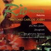 Rio Moods - the Music of Antonio Carlos Jobim