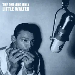 The One and Only - Little Walter