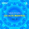 Sakala Devatha Gayatri Mantras, Vol. 8 album lyrics, reviews, download