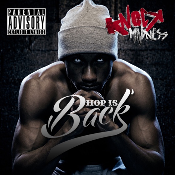 Cover artwork for Hop Is Back