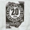 20 Años Empalmados