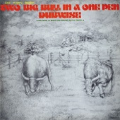 Two Big Bull in a One Pen (Dubwise Versions) artwork