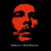Pimper's Paradise (Bob Marley) - Single album lyrics, reviews, download