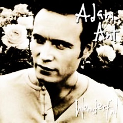 Adam Ant - Wonderful (Clearmountain Mix)