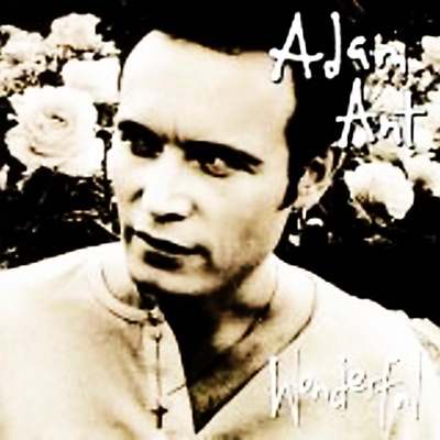 Extra Wonderful - Adam Ant