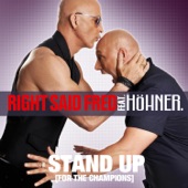 Stand Up (For the Champions) 2010 artwork