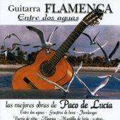 Guitarra Flamenca artwork