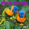 Bird Songs Vol.1