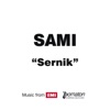 Sernik - Single, 2010