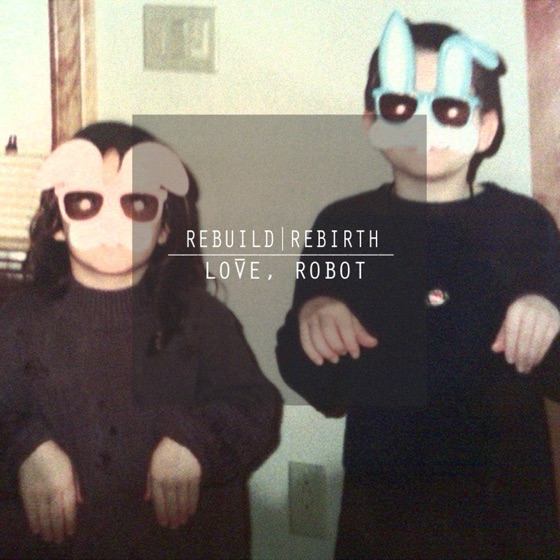 Cover artwork for Dismantle, Destroy