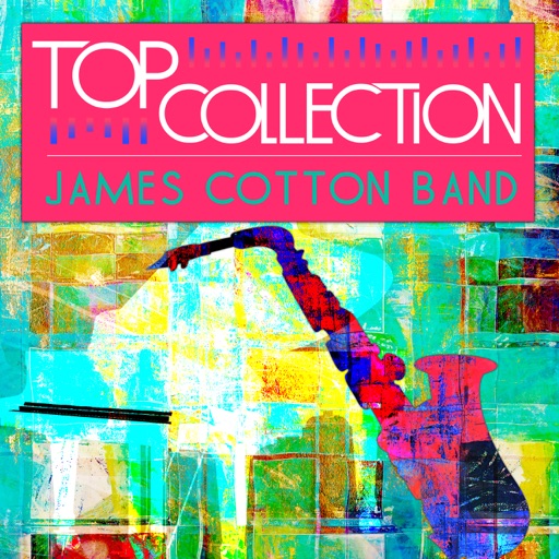 Art for Blow Wind Blow by James Cotton Band