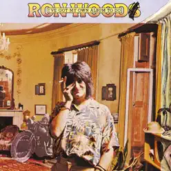 I've Got My Own Album To Do - Ron Wood