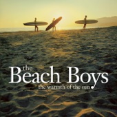 The Beach Boys - Forever