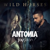 Wild Horses (feat. Jay Sean) [Remixes] - EP artwork