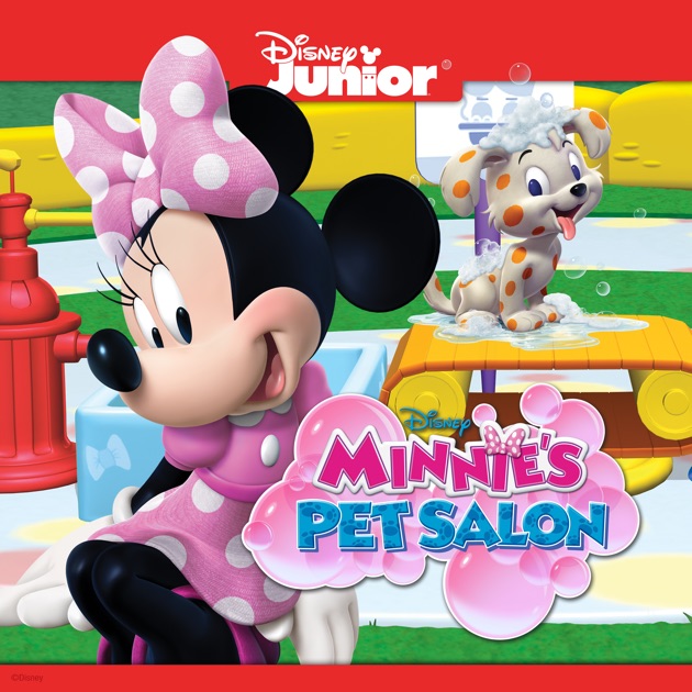 minnie's pet salon toy