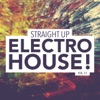 Straight Up Electro House! Vol. 13, 2015