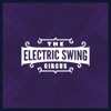 The Electric Swing Circus, 2013