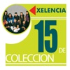 15 de Colección: Xelencia, 1991