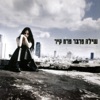 Sheila Ferber - גשום