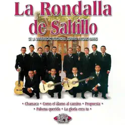 Solo Éxitos Vol. 2 - La Rondalla De Saltillo - La Rondalla de Saltillo