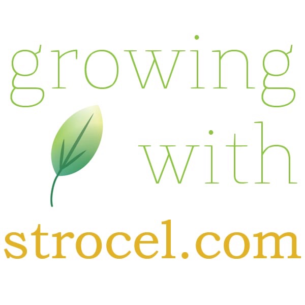 Strocel.com Podcast cover