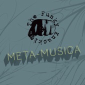 Meta-Musica artwork