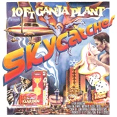 Skycatcher artwork