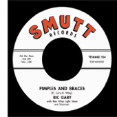 Pimples and Braces / The Hunt - Single