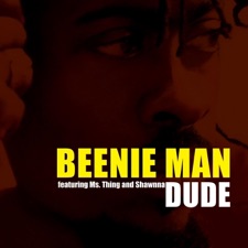 Dude artwork