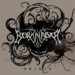 Origin - Borknagar