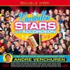 Double d'or: Nouvelles Stars de l'accordéon, Vol. 2 (Sélection recommandée par André Verchuren), 2013