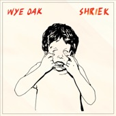 Wye Oak - The Tower