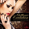Chillhouse Excitation Two - 25 Smooth & Tasty House Tunes