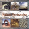 Raízes Sertanejas, 2009