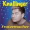 Schwarzes Loch - Heiner Knallinger lyrics