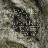 Memories Come Rushing up to Meet Me Now artwork