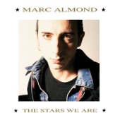 Marc Almond - Tears Run Rings