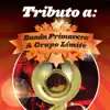Tributo a Grupo Límite & Banda Primavera album lyrics, reviews, download