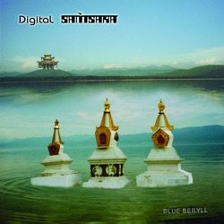 Digital Samsara - Beyond Concept