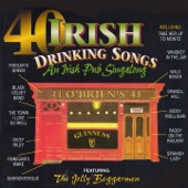 40 Irish Drinking Songs (An Irish Pub Singalong) artwork
