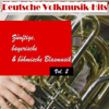 Deutsche Volksmusik Hits - Zünftige, bayerische & böhmische Blasmusik, Vol. 2 - Various Artists