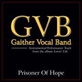 Prisoner of Hope (Performance Tracks) - EP artwork