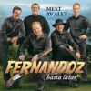 Fernandoz - Våga Tro På Kärleken Igen